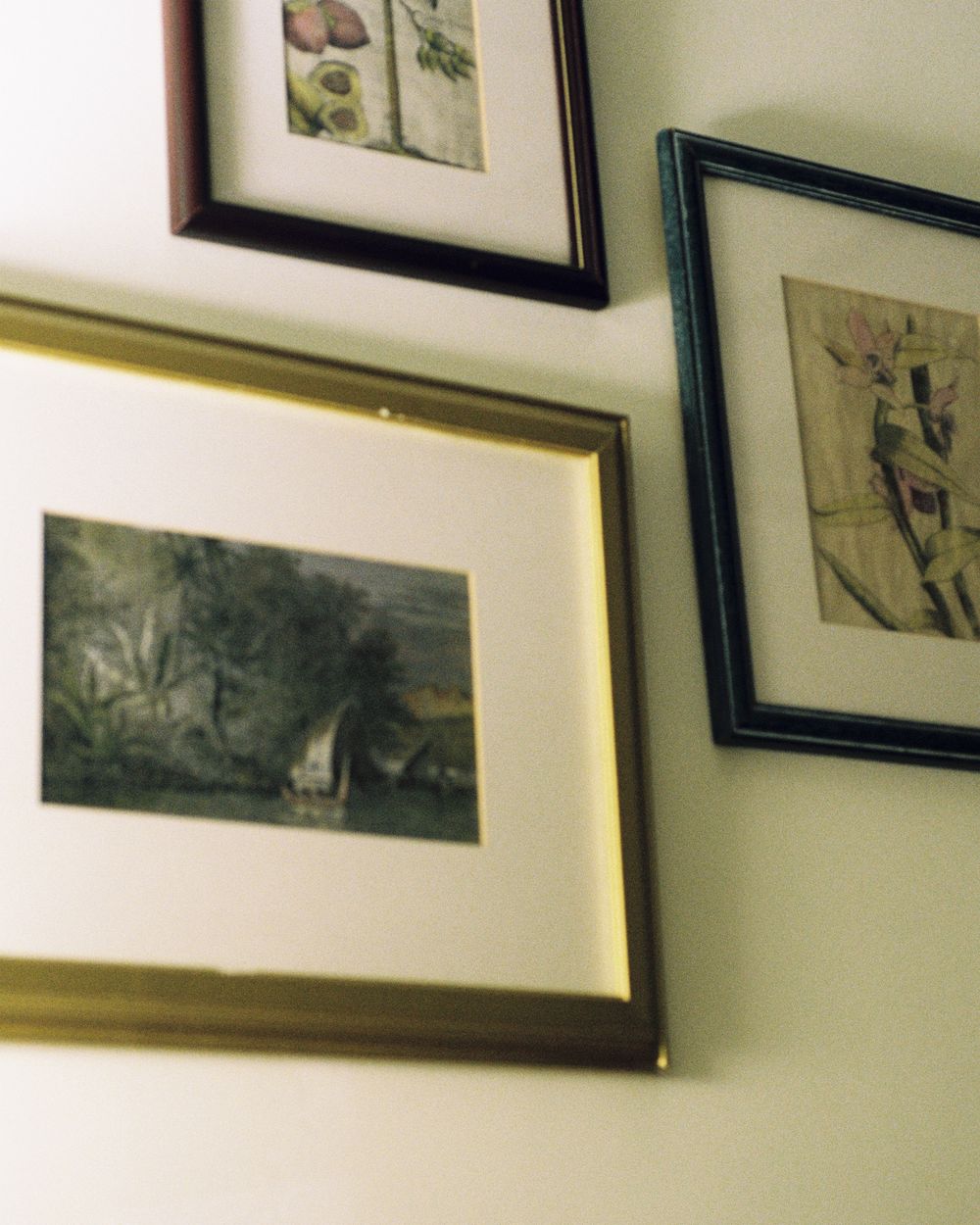 Collection of framed artwork arranged on a wall